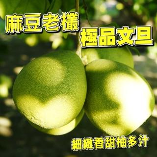【台灣鮮果-中秋禮盒】麻豆50年老欉 極品文旦(8-12顆/10斤裝/禮盒)