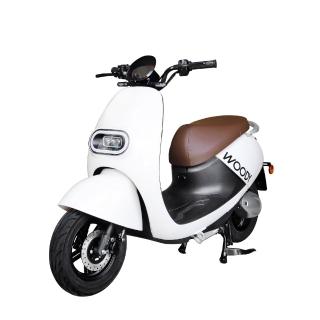 【e路通】EA-R99 追風 碟煞前後避震 微型電動二輪車(電動自行車)