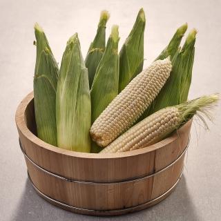 縣長推薦北海道最高等級甜如蜜牛奶玉米
