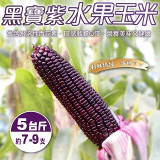 【小農直配】黑寶紫水果玉米(5斤±10%)