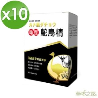 【草本之家】龜鹿鴕鳥精30粒X10盒(MSM.二型膠原蛋白.鹿角.龜板.維生素)