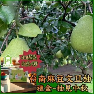 【每日宅鮮】嚴選台灣麻豆三十年老欉文旦(5斤/箱)