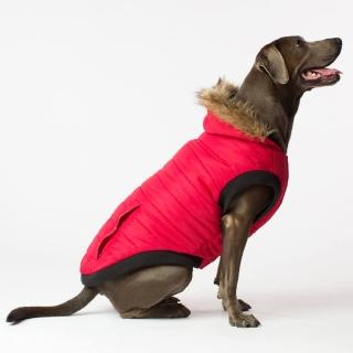 【CANADA POOCH】北極大衣 16號(North Pole Parka 16)