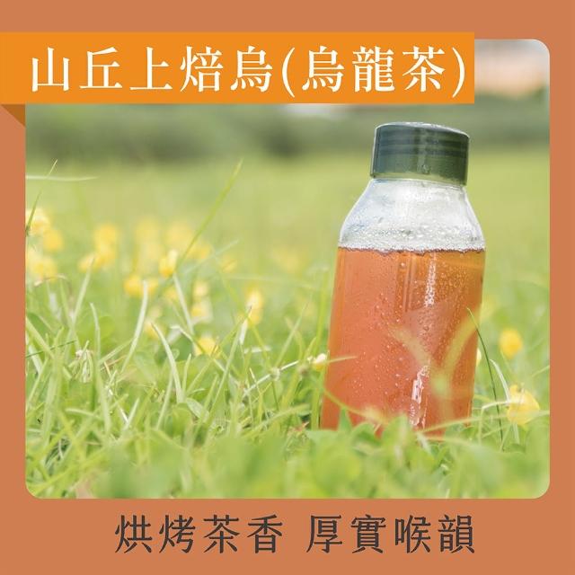 【Teascovery 發現茶】冷泡天然甘甜茶包20入/盒(又一春青茶/烏龍茶/蜜香紅茶/薄荷綠茶/檸檬紅茶)