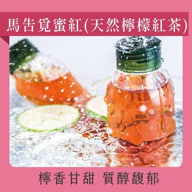 【Teascovery 發現茶】冷泡天然甘甜茶包20入/盒(又一春青茶/烏龍茶/蜜香紅茶/薄荷綠茶/檸檬紅茶)