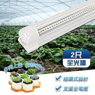 Led 植物 Momo購物網 Led 植物 Momo購物網