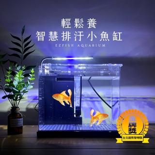 金魚照明led