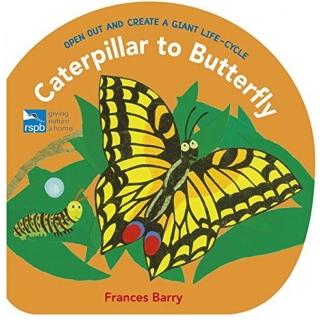 【麥克兒童外文】Caterpillar To Butterfly