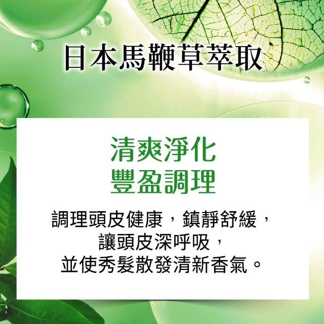 【美吾髮】4入組_草本主義洗髮精540ml(馬鞭草/咖啡因/金盞花/洋甘菊/何首烏/檸檬草)
