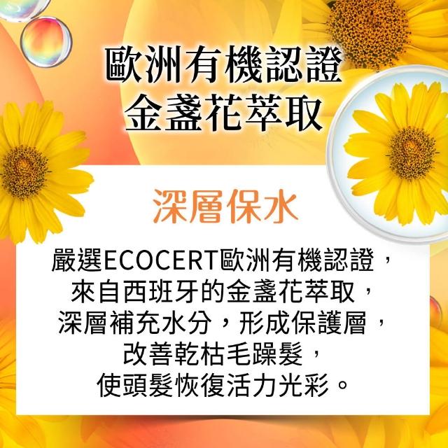 【美吾髮】4入組_草本主義洗髮精540ml(馬鞭草/咖啡因/金盞花/洋甘菊/何首烏/檸檬草)