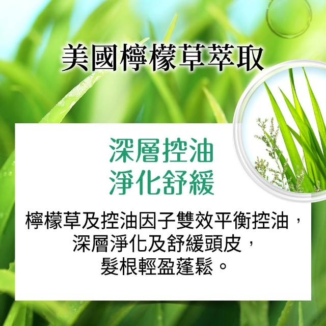 【美吾髮】4入組_草本主義洗髮精540ml(馬鞭草/咖啡因/金盞花/洋甘菊/何首烏/檸檬草)