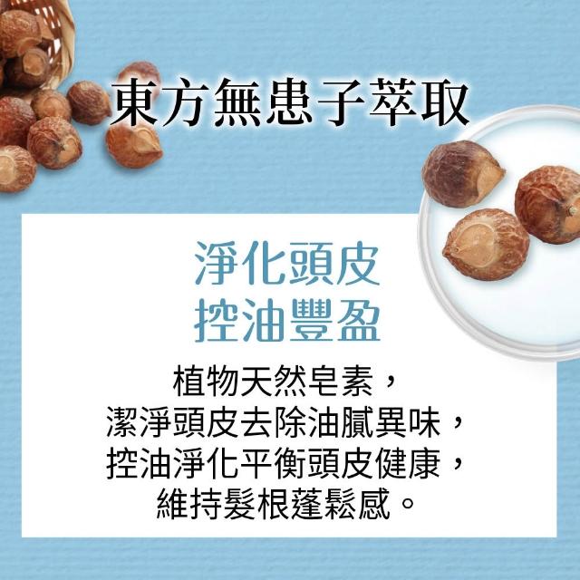【美吾髮】4入組_草本主義洗髮精540ml(馬鞭草/咖啡因/金盞花/洋甘菊/何首烏/檸檬草)