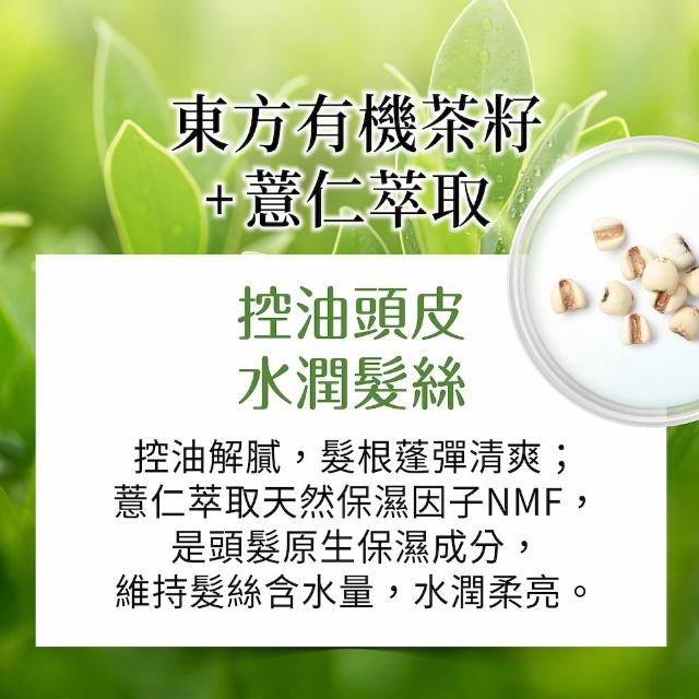 【美吾髮】4入組_草本主義洗髮精540ml(馬鞭草/咖啡因/金盞花/洋甘菊/何首烏/檸檬草)