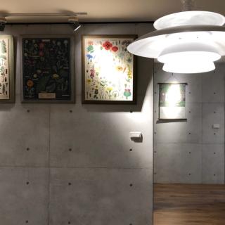 【森呼吸矽藻土】張師傅矽藻土清水模牆面專案-10平方公尺(無線孔 代客施作 連工帶料)