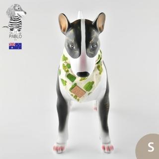 【Pablo & Co】寵物領巾 綠洲仙人掌 S
