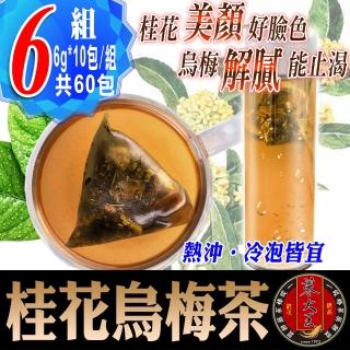 【蔘大王】桂花烏梅茶包6gx10包x6袋(解渴美妍茶;冷熱兩用;油切解膩;輕盈靈活;香氣四溢)