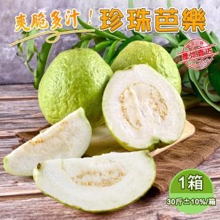 【產地直送】爽脆多汁珍珠芭樂30斤x1箱(維生素C營養滿滿)
