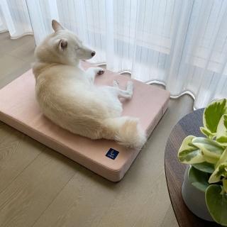 【LINGO】寵物床墊(台灣設計製造)