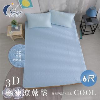 【ISHUR 伊舒爾】3D極凍涼蓆墊(雙人6尺 兩色任選 涼感墊 野餐墊 防疫日常)