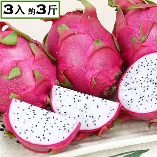 【愛蜜果】白肉火龍果3入(約3斤/箱)