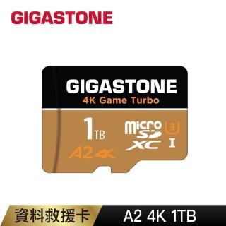 【Gigastone 立達國際】Data Recovery 1TB micro SDXC UHS-Ⅰ U3 資料救援記憶卡(1T A2 4K高速記憶卡)