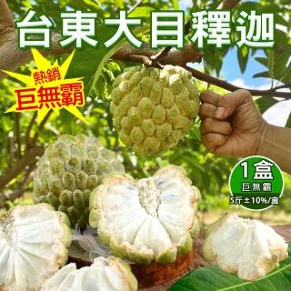 【禾鴻】台東巨無霸大目釋迦5斤5-6顆含箱重x1盒(水果界的綠寶石)
