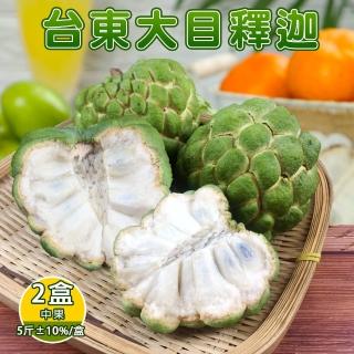 【禾鴻】台東香甜好吃大目釋迦5斤6-7顆含箱重x2盒(水果界的綠寶石)