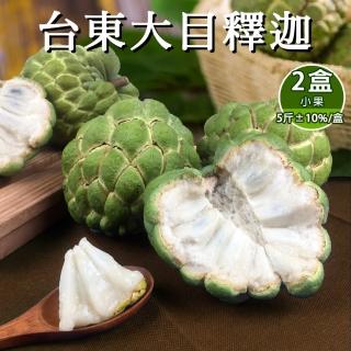 【禾鴻】台東香甜好吃大目釋迦5斤含箱重7-9顆x2盒(水果界的綠寶石)