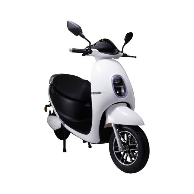 【ZAU】ES-1000 普通輕型電動機車