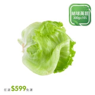 【菜霸子】任選-滿599元出貨(結球萵苣300g 廠商直送)