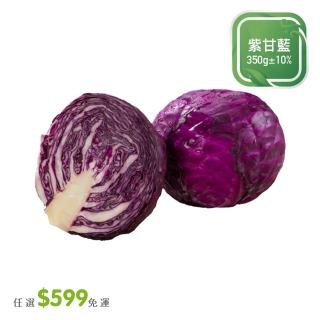 【菜霸子】任選-滿599元出貨(紫甘藍350g  / 顆廠商直送)