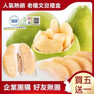 【禾鴻-中秋禮盒】正宗麻豆40年老欉文旦禮盒5斤4-6顆x6箱(正宗麻豆老欉文旦送禮自用兩相宜)