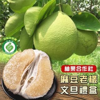 【柚果合作社-中秋禮盒】產銷履歷認證麻豆40年老欉文旦禮盒10斤8-10顆x1箱-產履認證老欉文旦自用送禮兩相宜