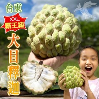 【禾鴻】台東頂級XXL霸王級大目釋迦10斤7-9顆含箱重x1箱(共1箱)