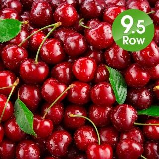 【美國華盛頓-中秋禮盒】9.5ROW空運鮮採特甜櫻桃(1kg)