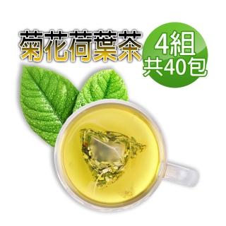 【蔘大王】台灣菊花荷葉降降茶包6gx10包x4袋(3D立體茶包;無咖啡因無茶鹼)