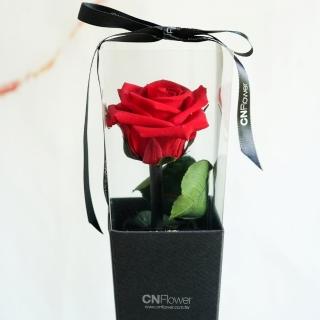 【CNFlower 西恩】恆星玫瑰單支錐盒-紅(送禮/買花/恆星花/花禮)