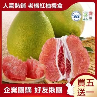 【禾鴻-中秋禮盒】正宗台南麻豆40年老欉文旦紅柚禮盒4斤2-4顆x6盒(老欉紅柚文旦禮盒)