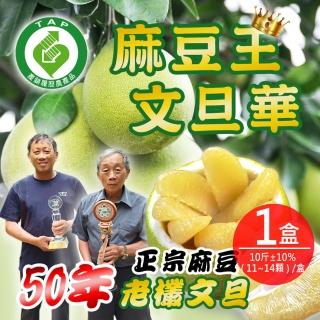 【麻豆王 文旦華】正宗麻豆50年老欉文旦x1箱(10斤±10%/11-14顆/箱)
