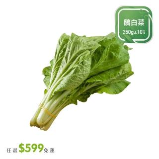 【菜霸子】任選-滿599元出貨(鵝白菜 250g/袋  廠商直送)