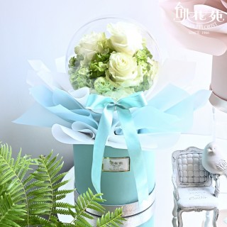 【台北花苑】泡泡球系列－高雅白(告白花禮/Tiffany Blue/盆花)