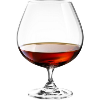 【TESCOMA】勃根地水晶紅酒杯(700ml)