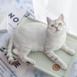 【crazypaws 瘋狂爪子】寵物行軍床S號-獨特防側翻腳架設計.寵物睡墊(寵物家具/寵物床/飛行床/行軍床)