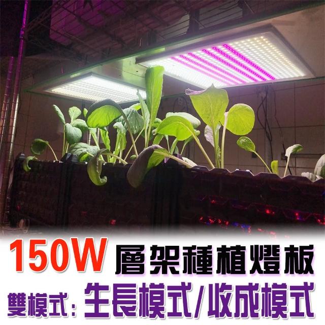 【JIUNPEY 君沛】150瓦 量子板 植物層架燈板 雙色溫 植物燈板 裸版 led燈板(植物燈板)
