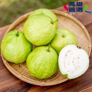 【高雄首選】小農陳遴翔-高雄珍珠芭樂(富含大量的維生素C)