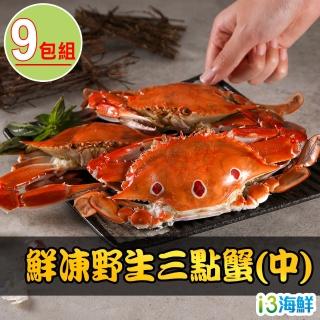 【愛上海鮮】鮮凍野生中三點蟹9包(350g±10%/2隻/組)