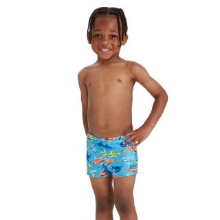 【Zoggs】幼童《群鯊突圍》環保四角泳褲(泡湯/溫泉/游泳)