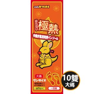 艾草去濕除臭發熱鞋墊(10雙)