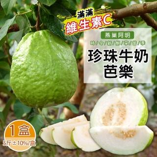 【禾鴻】燕巢阿明牛奶芭樂禮盒5斤x1盒(維生素C滿滿)
