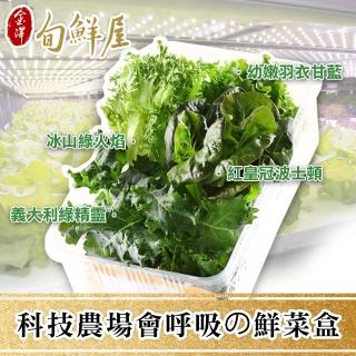 【金澤旬鮮屋】科技農場の呼吸鮮蔬菜盒3盒(150g/盒)